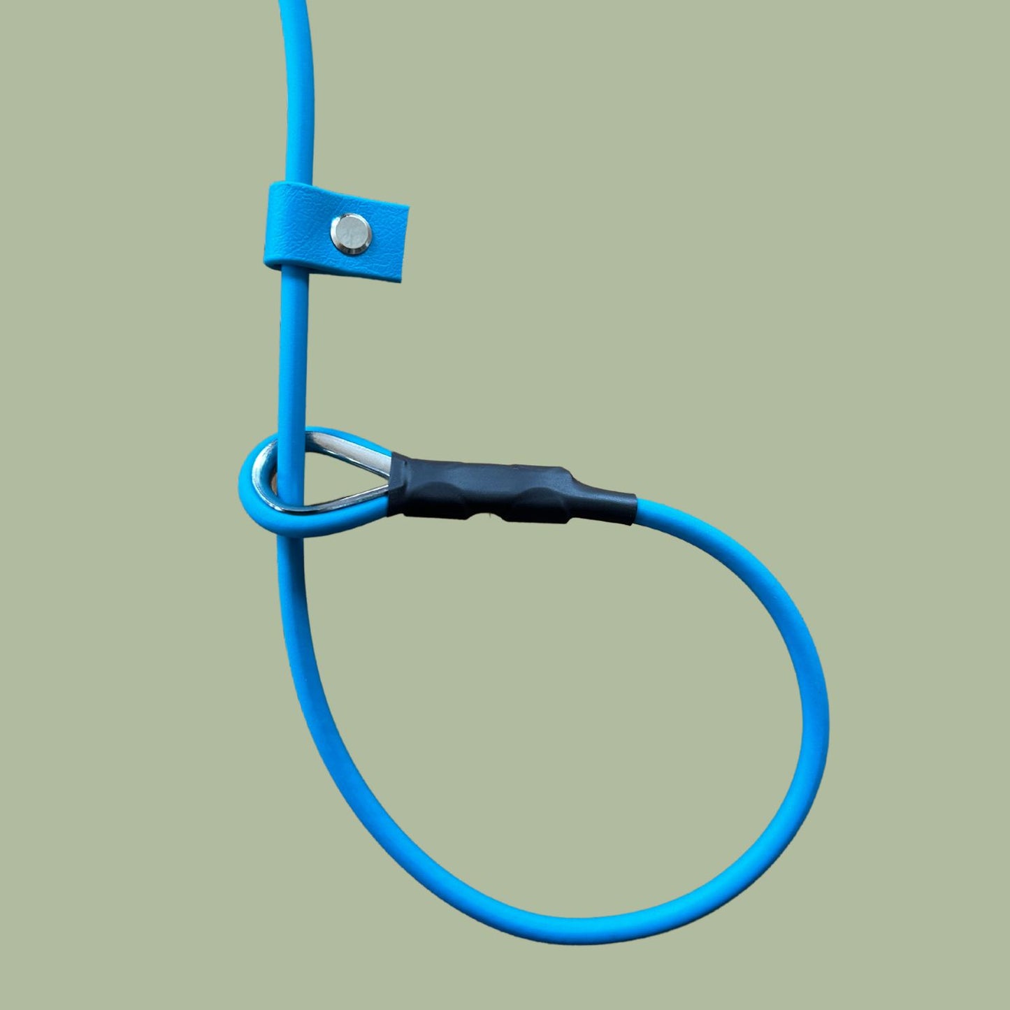 6mm Biothane Swivel Slip Lead