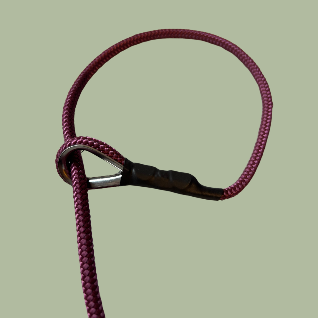 5mm Rope Slip Lead